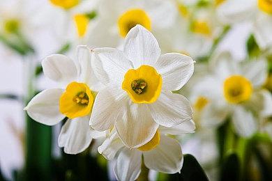 Roguelike牌组构建游戏《Deck of Haunts》Steam页面开放 明年发售